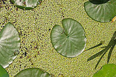 《心之眼》工作室CEO谈大量差评 称100%是有人雇佣水军所为